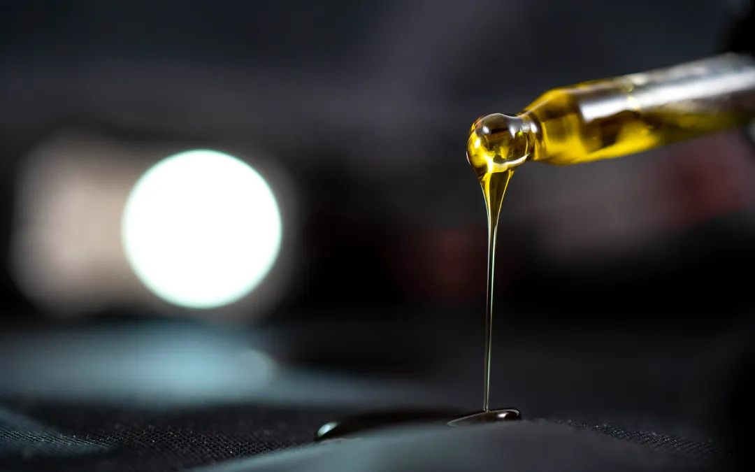 Arte, rituales y consciencia: el cannabis como musa creativa a lo largo de la historia