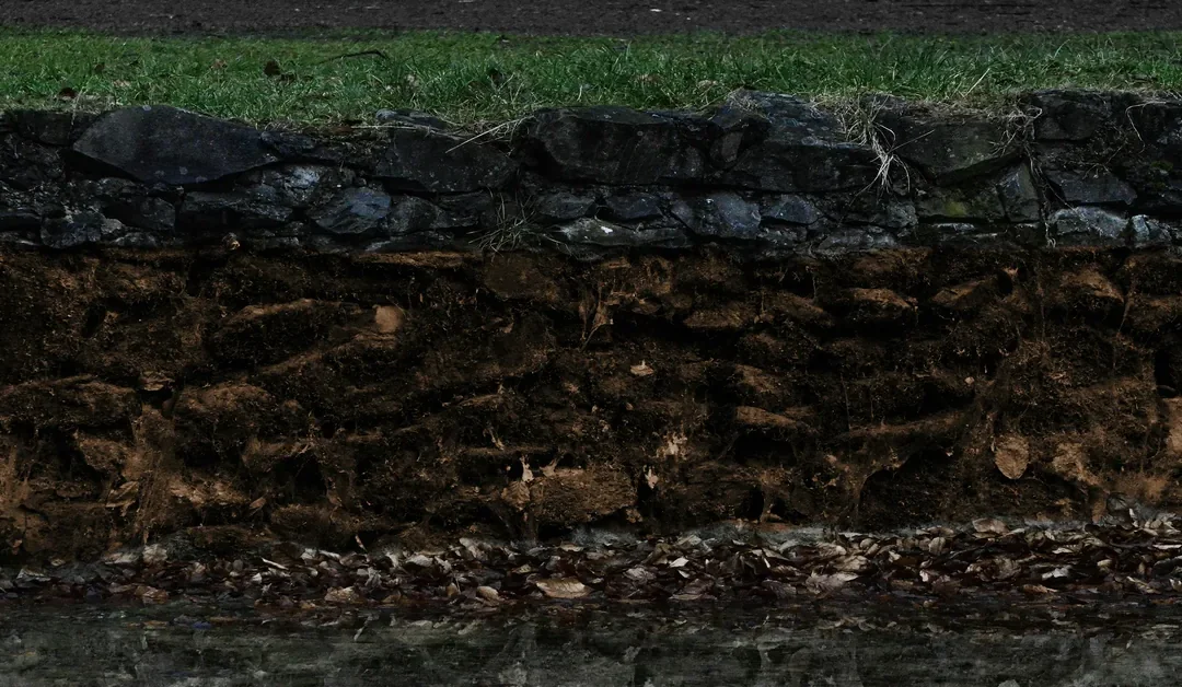 Organic Carbon in the Soil and Its Impact on Agricultural Productivity