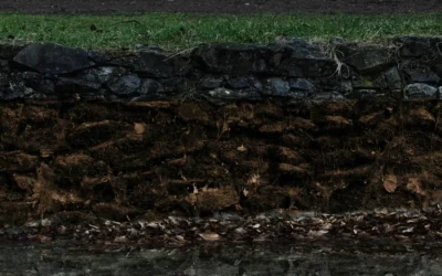 Organic Carbon in the Soil and Its Impact on Agricultural Productivity