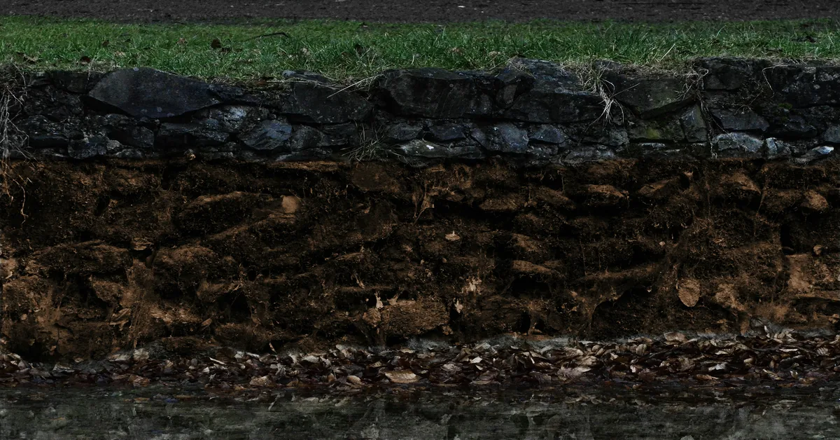 Agricultural soil profile showing dark organic horizon rich in carbon between roots and earth