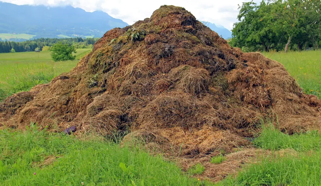 Circular economy in agriculture: recycling nutrients and by-products