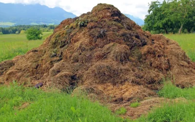 Economía circular en la agricultura: reciclaje de nutrientes y subproductos