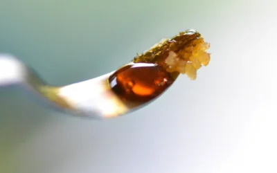 Extracción y concentrados de cannabis: la ciencia detrás de los derivados