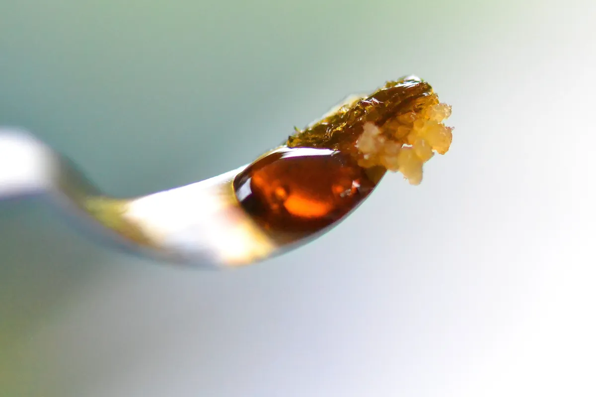 hachís o rosin de cannabis extraído de tricomas